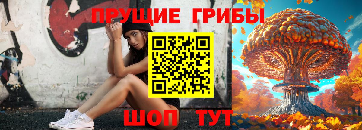 продажа наркотиков  Галлюциногенные грибы MAGIC MUSHROOMS  Вход с VPN  Прохладный 